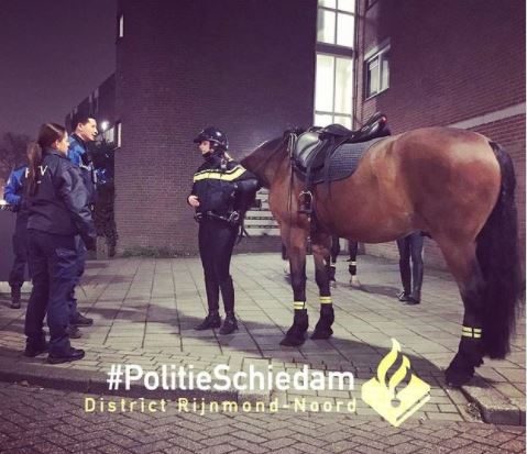 Bereden Politie in actie tegen jeugd- en vuurwerkoverlast