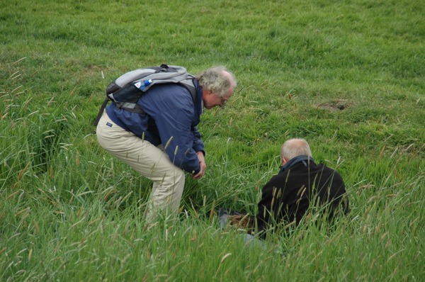 Natuurlijk Delfland organiseert twee plantencursussen