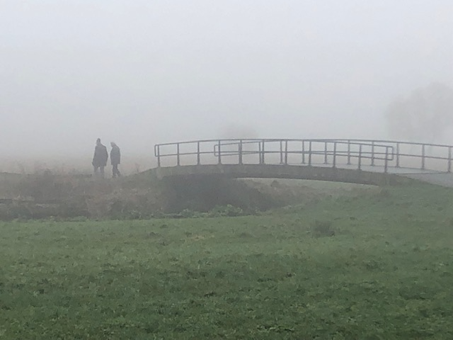 Mystiek Midden-Delfland in de mist