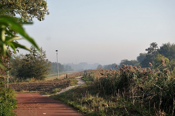 Gezocht: hulp in de huishouding in Schiedam Spaland
