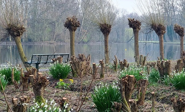 De lente is vandaag begonnen