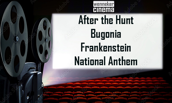 Van morele thriller tot gotische horror en queer ode