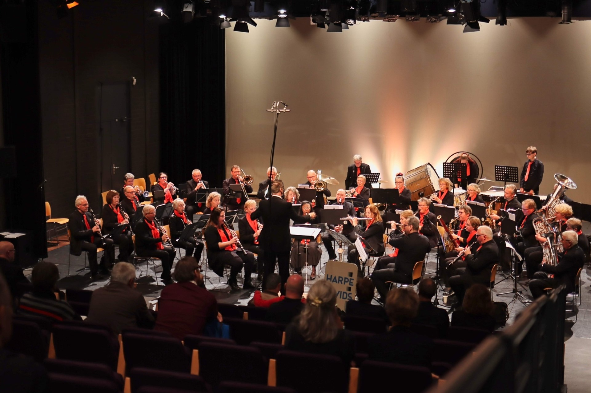 Goede prestatie Harpe Davids-Schiedam