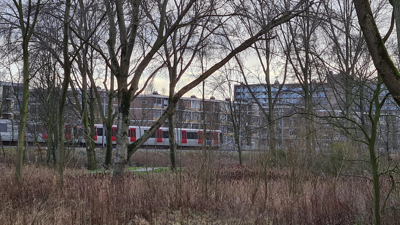 Vanaf morgen overstap op Nieuwland, als je met metro tussen Schiedam Centrum en de Hoek reist