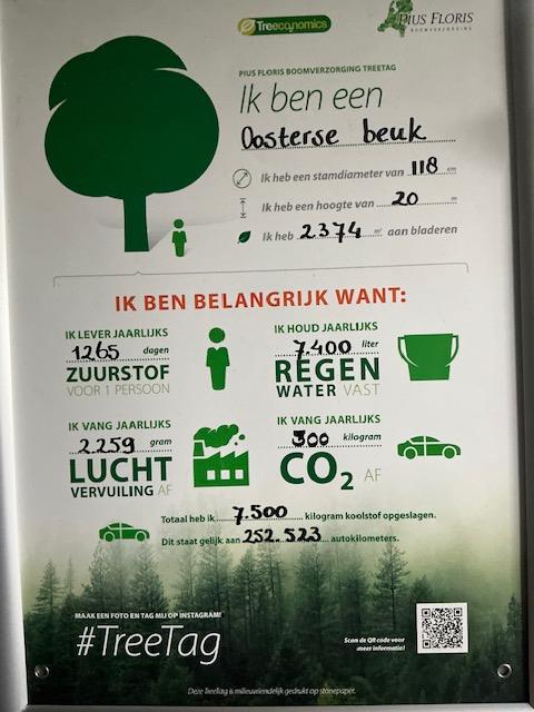 De tiende TreeTag gaat naar een populaire beuk
