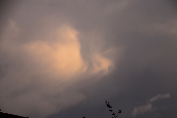 Wie te bellen bij stormschade?