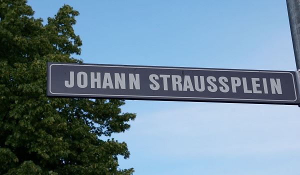 Groot aantal vragen over aanzienlijke bomenkap om 'van het gas af' te kunnen gaan 