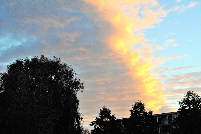  'Van het gas los' is aangenomen, maar kregen alle raadsleden vooraf zelfde informatie?