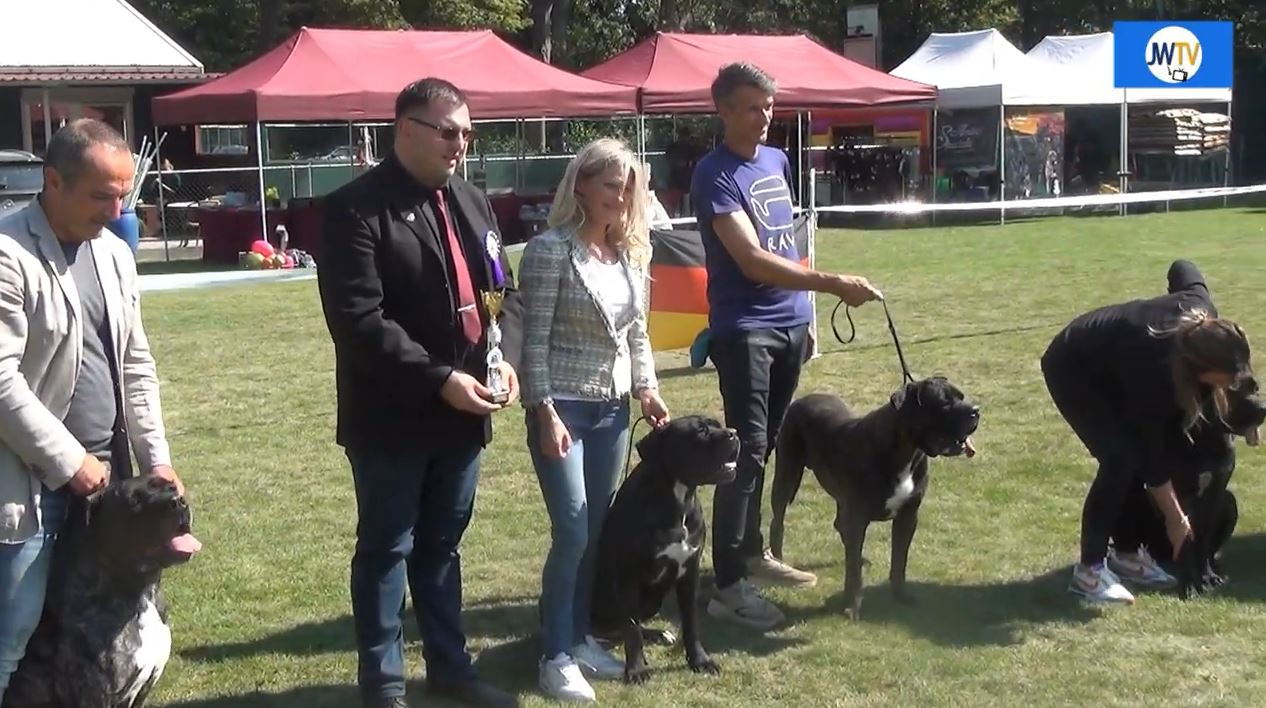 Cane Corso Club viert jubileum bij DTS in Schiedam