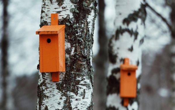 Zonnige toekomst De Boshoek