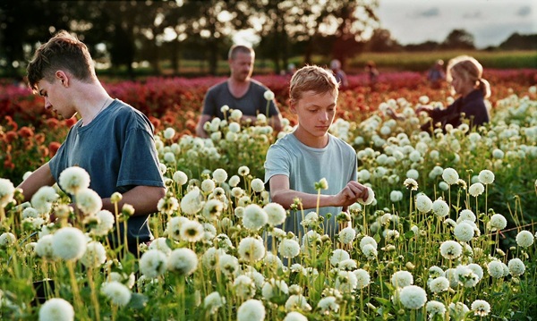 Maandelijkse film- & filosofieavond in Wenneker Cinema