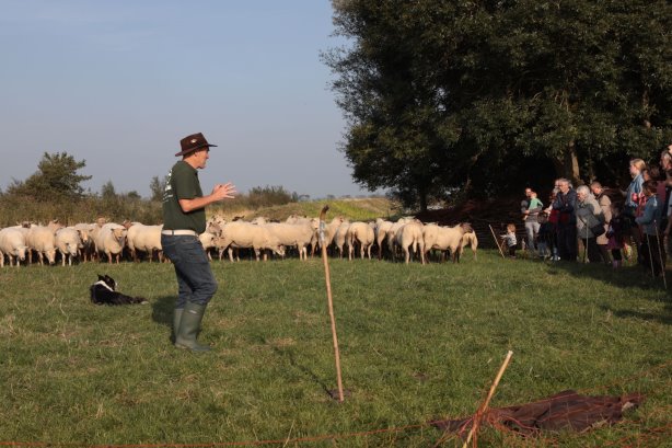 Boerenoogstfeest bij Adrianushoeve