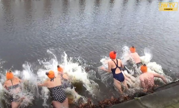 Kijk wie hier vanochtend in de Nieuwe Haven Schiedam doken