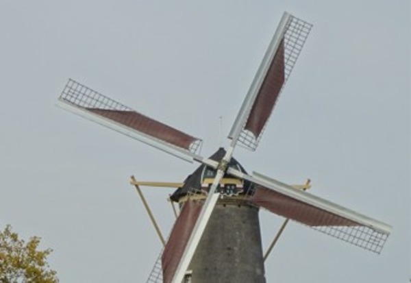 Museummolen De Walvisch open dankzij steun