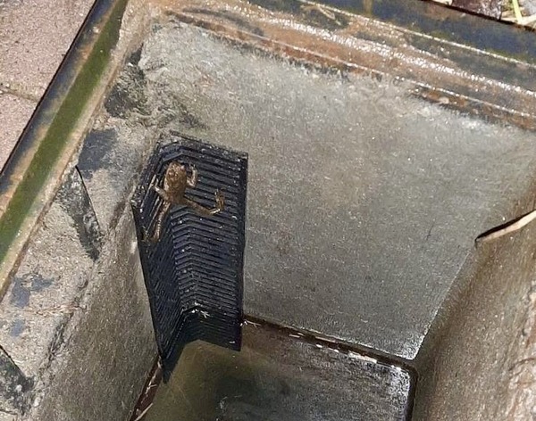 Overlevingskans padden vergroot door uitklimstrips in putten