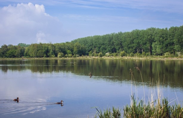 Wandeling in de Broekpolder