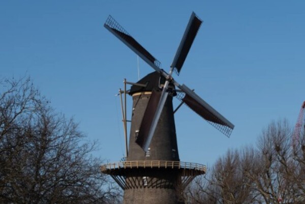 ​Lou Loeber schildert vier keer Molen De Walvisch