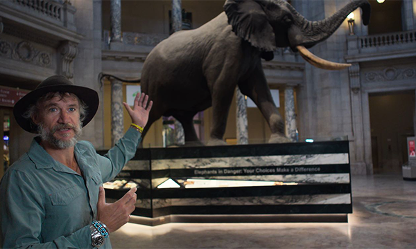 2ghostelephant