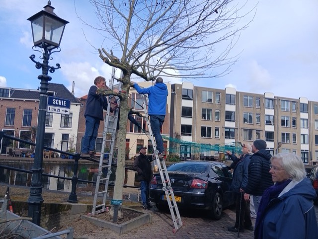 8e verjaardag met snoeiactie