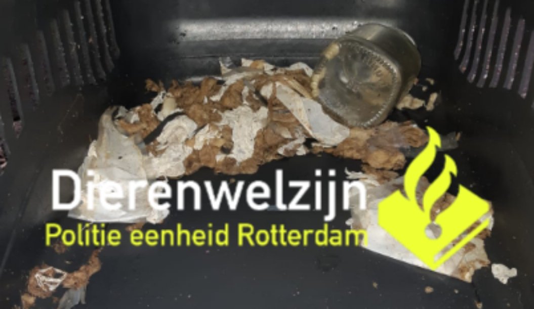 Politie neemt in erbarmelijke toestand verkerende puppy in beslag
