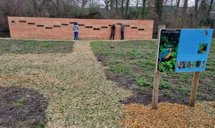 Ga mee ijsvogels spotten bij de kijkwand in Schiedam