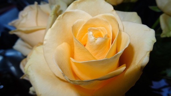 Eenzame uitvaart van de heer De Z. (73 jaar)