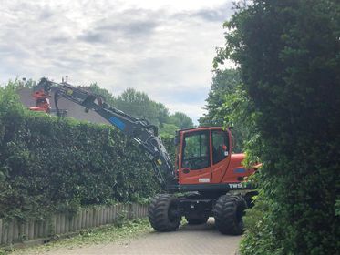 "Stop het snoeien midden in het broedseizoen"