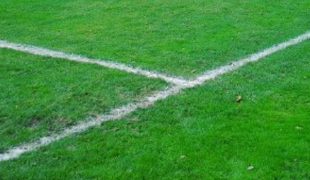 Sparta Rotterdam terug naar echt gras met dank aan Nolet