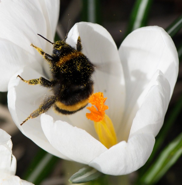 Het aanbod aan natuur- en milieueducatie 25/26