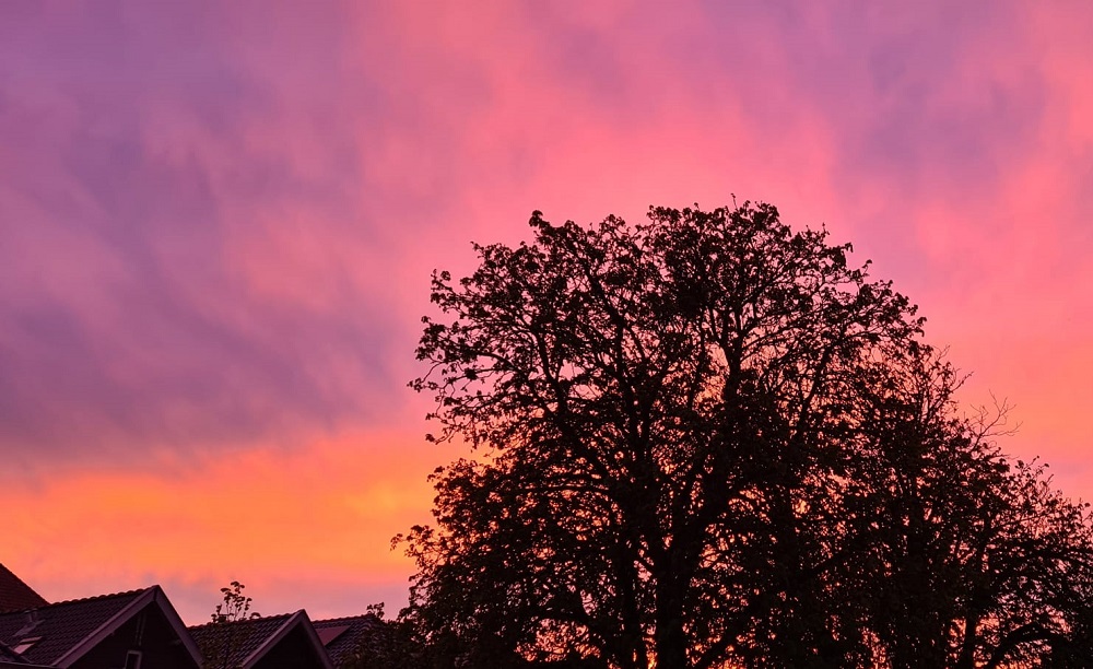 Wél kleurrijke avondluchten ten gevolge van Saharazand