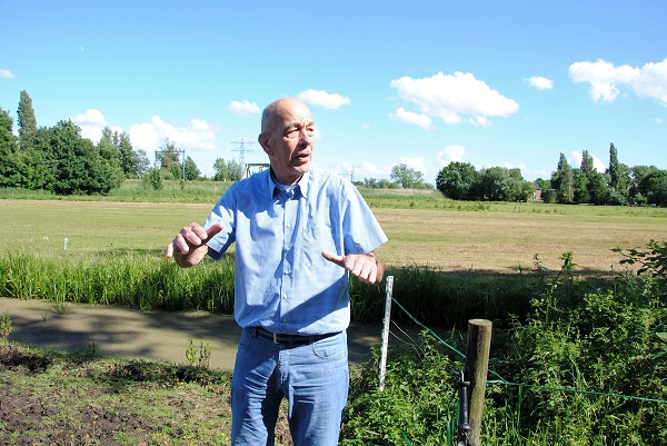 Gemeente wil in het groen van Kethel particulieren laten bouwen
