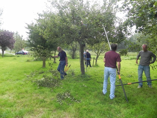 Workshop Snoeien Hoogstamboomgaard