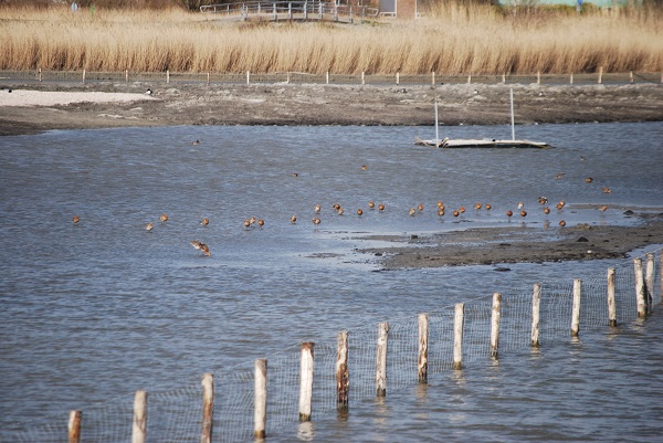 Seizoensstart voor en programma van Midden-Delfland Vereniging