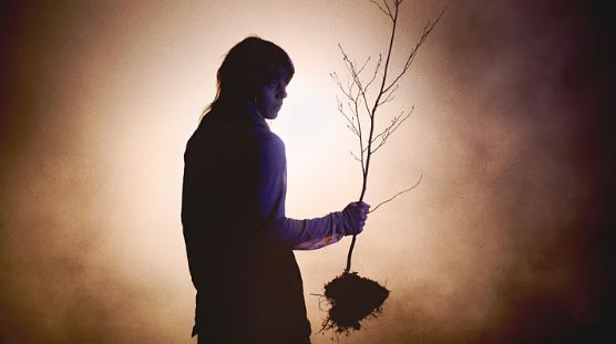 En toen werd het donker in Schiedam