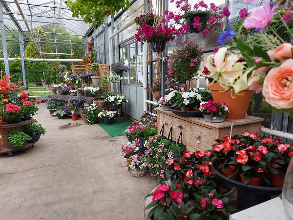 Kwekerij Poot, tuinplantenwinkel in Schiedam
