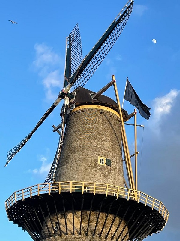 De Schiedamse molens zijn dit weekeinde in de rouw