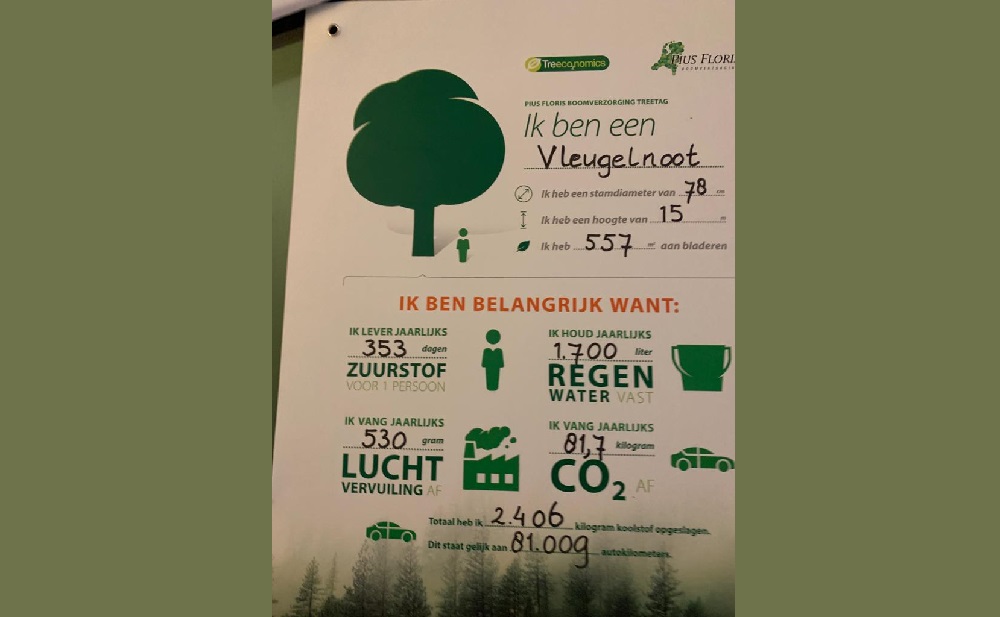 Twaalf bomen krijgen een label met informatie