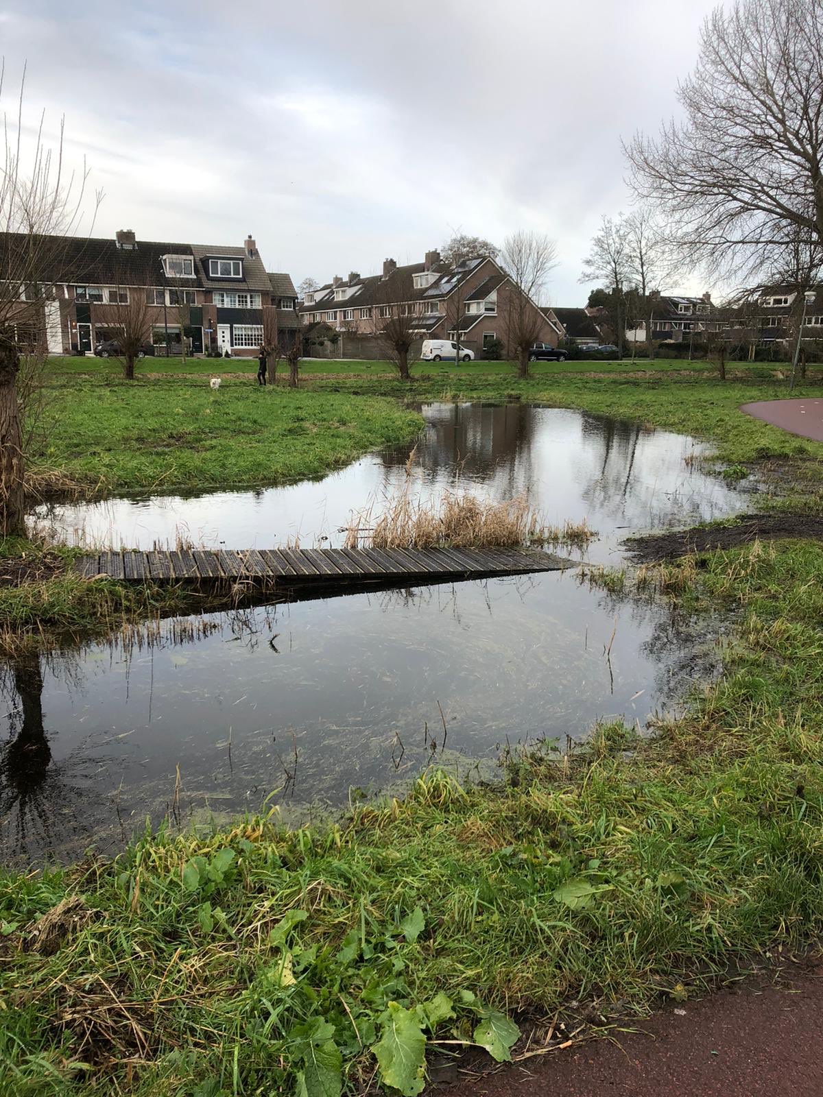 Hoog water langs de Harreweg
