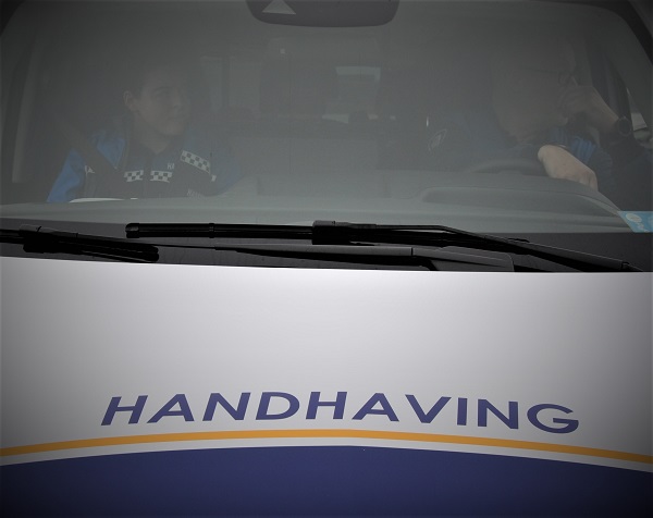 Boa geslagen door drugsgebruiker