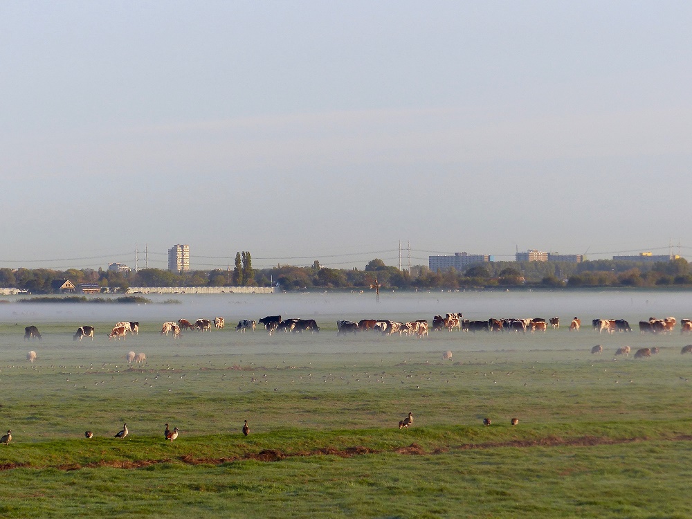 Niet nog meer wegen, geen windmolens en zonneparken