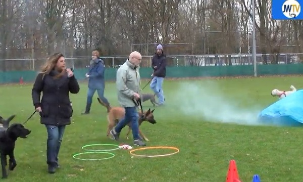 Tips om je hond door het geknal van de jaarwisseling heen te helpen