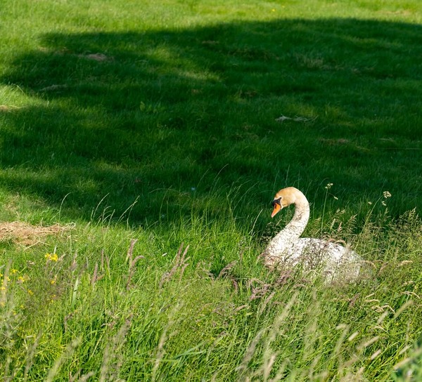 Delfland in gesprek met bewoners over vaarbeleid 