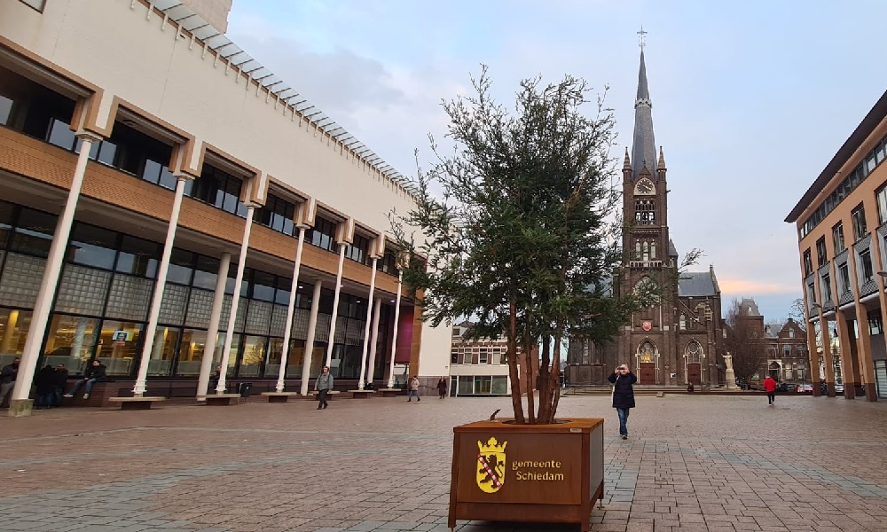 Zielig (kerst?)boompje op het Stadserf?