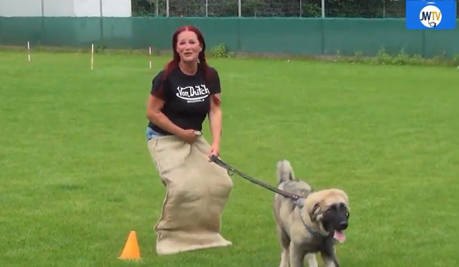 Hondensportvereniging moet coronasubsidie terugbetalen 