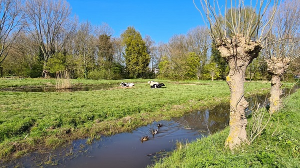 Nieuw ‘Polderpad in de stad’ in Park Kethel