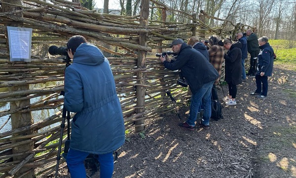 Het is een drukte van belang bij de vogelwand