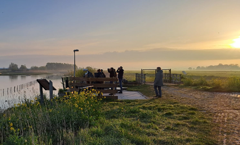 In alle vroegte vogelexcursies in Midden-Delfland
