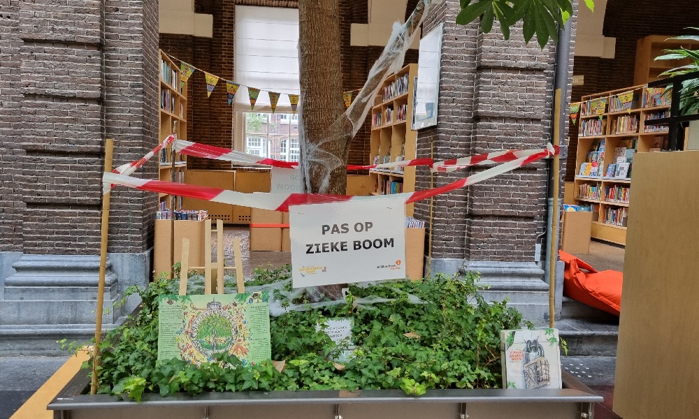 Unieke Schiedamse geldboom is ziek