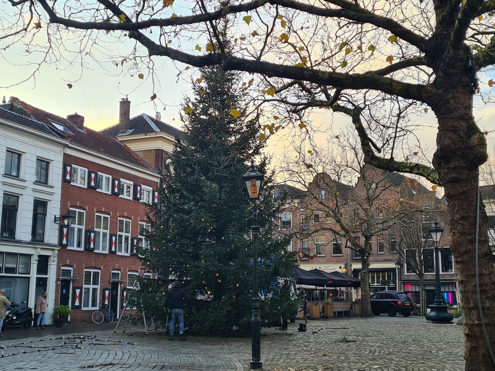 De grote kerstboom staat al