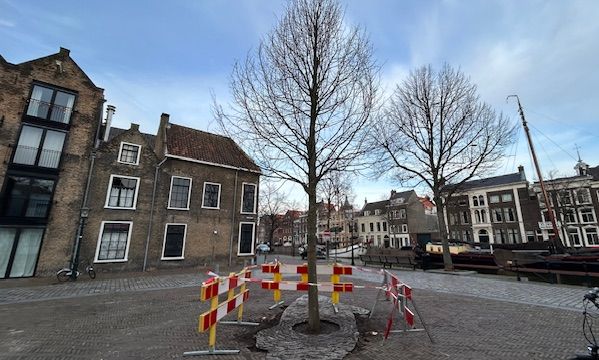De Vismarkt heeft weer een boom in haar midden